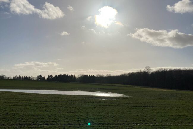 Find din sande historie